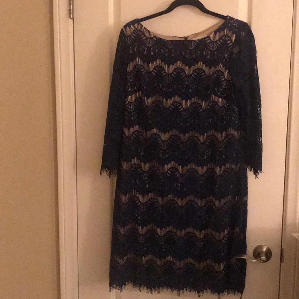 Eliza J navy blue and tan lace dress size 14